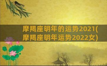 摩羯座明年的运势2021(摩羯座明年运势2022女)