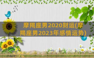 摩羯座男2020财运(摩羯座男2023年感情运势)