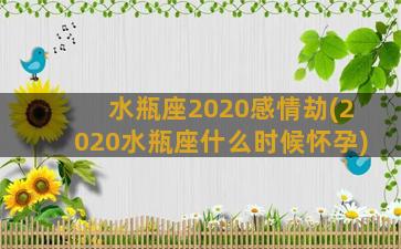 水瓶座2020感情劫(2020水瓶座什么时候怀孕)