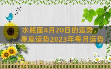 水瓶座4月20日的运势，星座运势2023年每月运势