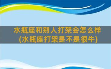 水瓶座和别人打架会怎么样(水瓶座打架是不是很牛)