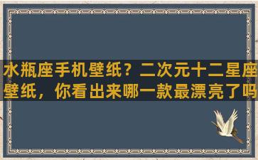 水瓶座手机壁纸？二次元十二星座壁纸，你看出来哪一款最漂亮了吗