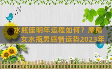 水瓶座明年运程如何？摩羯女水瓶男感情运势2023年