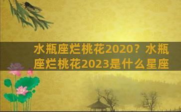 水瓶座烂桃花2020？水瓶座烂桃花2023是什么星座