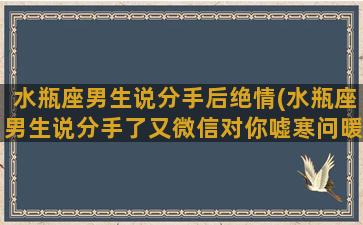 水瓶座男生说分手后绝情(水瓶座男生说分手了又微信对你嘘寒问暖是什么意思)