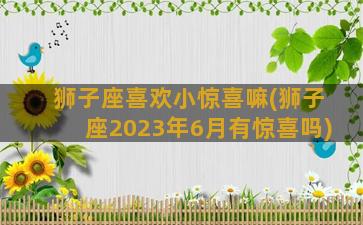 狮子座喜欢小惊喜嘛(狮子座2023年6月有惊喜吗)