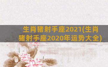 生肖猪射手座2021(生肖猪射手座2020年运势大全)