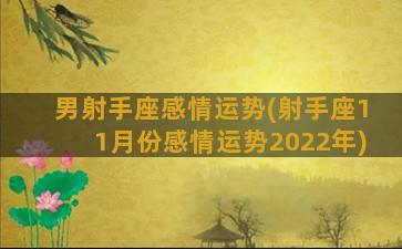 男射手座感情运势(射手座11月份感情运势2022年)