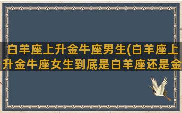 白羊座上升金牛座男生(白羊座上升金牛座女生到底是白羊座还是金牛座)