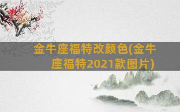 金牛座福特改颜色(金牛座福特2021款图片)