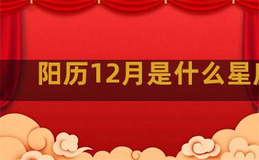 阳历12月是什么星座的